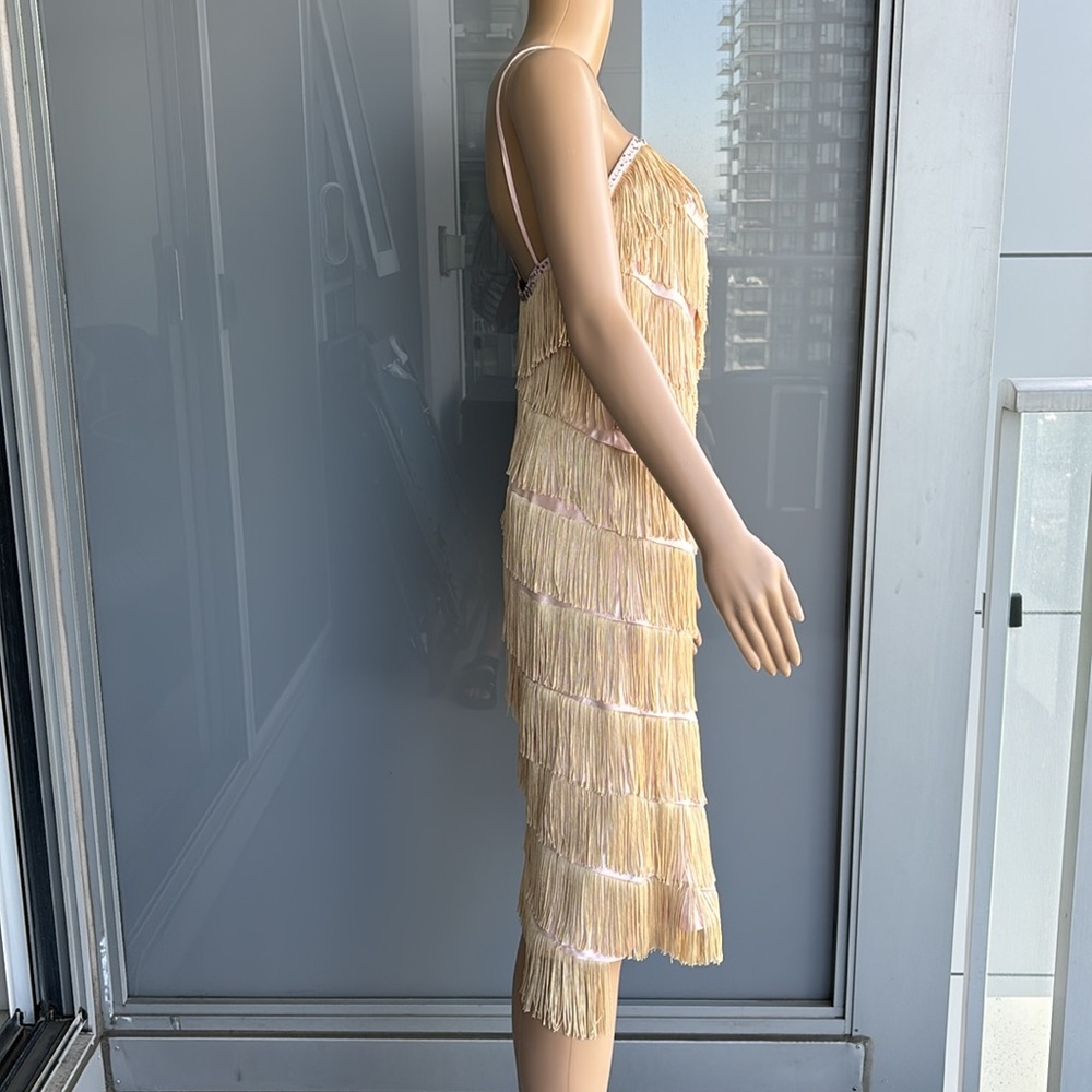 Vintage Fringe Flapper Girl Dress - Picture 4 of 15